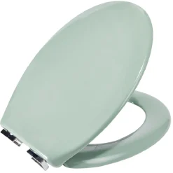 Gifi Equipement Wc^Abattant WC duroplast vert avec frein de chute déclipsable réglable