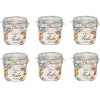 Hot Gifi Bocal à conserve avec fermeture à clapet 350 ml x 6