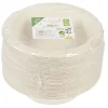 Best Gifi Bol jetable en canne à sucre x50