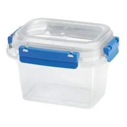 Discount Gifi Boîte alimentaire rectangulaire transparente bleu et blanc 0,5L