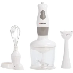 New Gifi Mixeur 3 en 1 Homday