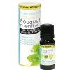 Gifi Bien-Être^Synergie Bouquet de menthe Mességué