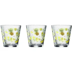 Best Gifi Verre conique bas motif exotique 25,5 cl x3