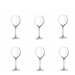 Best Gifi Verre à vin blanc pied cristallin Wine Emotion 35 cl x6