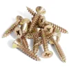 Gifi Quincaillerie^15 vis agglo tête fraisée acier bichromaté - 5x30 mm
